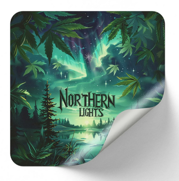 Samen 3x Northern Lights fem. Nordkraut